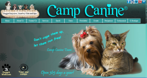 Camp_Canine_Screenshot